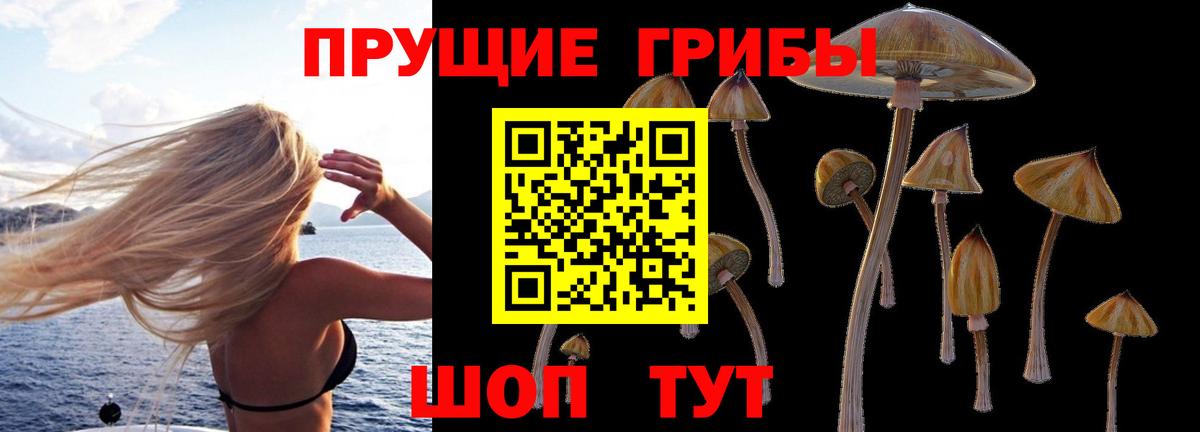 Ялуторовск  Галлюциногенные грибы Cubensis  Вход с VPN 